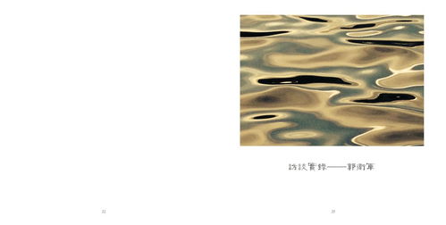 中央美術(shù)學(xué)院城市設(shè)計(jì)學(xué)院工藝美術(shù)與材料實(shí)施網(wǎng)絡(luò)教學(xué)成果展 電腦動畫設(shè)計(jì)篇